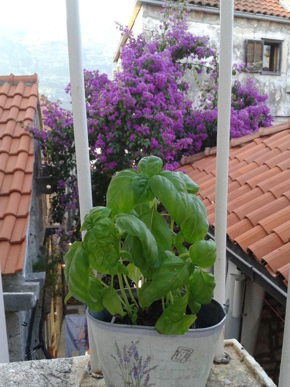Apartments Milion Korčula Cameră foto